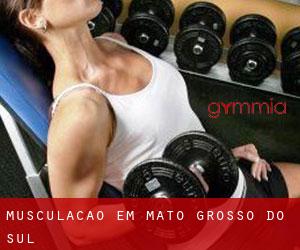 Musculação em Mato Grosso do Sul