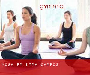 Yoga em Lima Campos