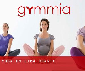 Yoga em Lima Duarte