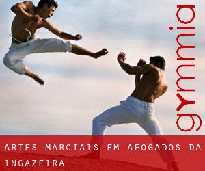 Artes marciais em Afogados da Ingazeira
