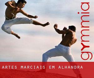 Artes marciais em Alhandra
