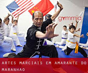 Artes marciais em Amarante do Maranhão
