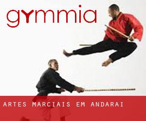 Artes marciais em Andaraí