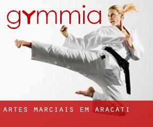 Artes marciais em Aracati