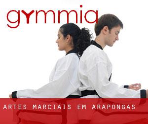 Artes marciais em Arapongas