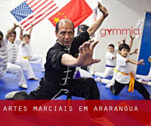 Artes marciais em Araranguá