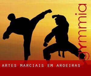 Artes marciais em Aroeiras