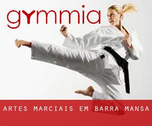 Artes marciais em Barra Mansa