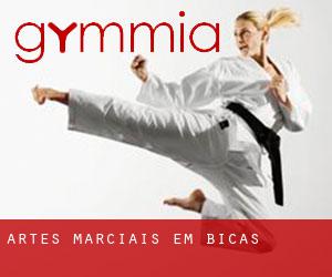 Artes marciais em Bicas