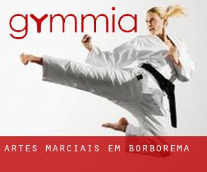 Artes marciais em Borborema