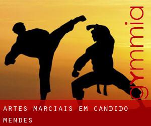 Artes marciais em Cândido Mendes