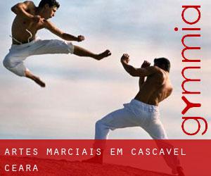 Artes marciais em Cascavel (Ceará)