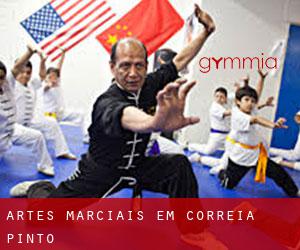 Artes marciais em Correia Pinto