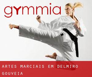 Artes marciais em Delmiro Gouveia