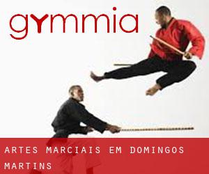 Artes marciais em Domingos Martins