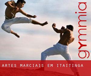 Artes marciais em Itaitinga