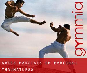 Artes marciais em Marechal Thaumaturgo