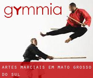 Artes marciais em Mato Grosso do Sul