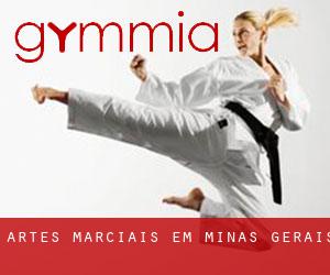 Artes marciais em Minas Gerais