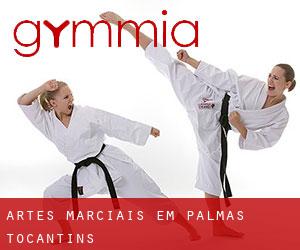Artes marciais em Palmas (Tocantins)