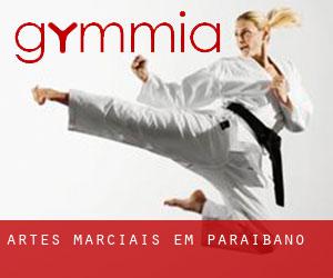Artes marciais em Paraibano