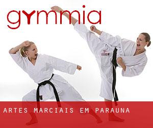 Artes marciais em Paraúna