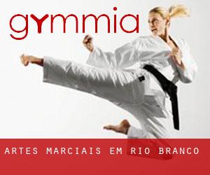 Artes marciais em Rio Branco