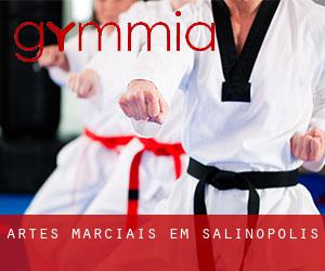 Artes marciais em Salinópolis
