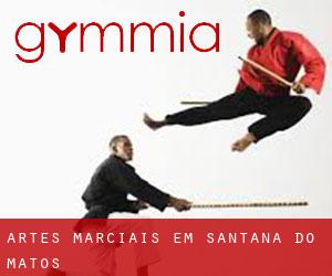 Artes marciais em Santana do Matos