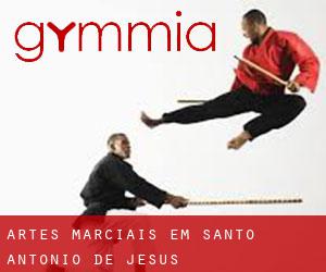 Artes marciais em Santo Antônio de Jesus