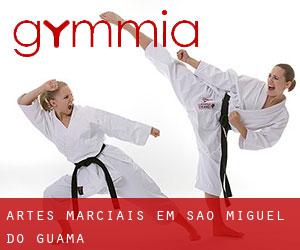 Artes marciais em São Miguel do Guamá