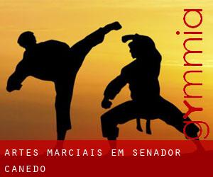 Artes marciais em Senador Canedo