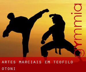 Artes marciais em Teófilo Otoni