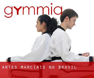 Artes marciais no Brasil